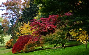 Dartington autumns colours-35