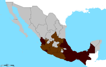 El café en México