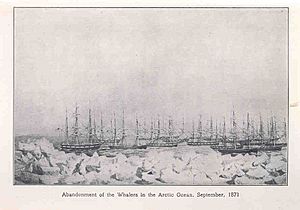 FMIB 35777 Abandonment of the Whalers in the Arctic Ocean, September, 1871