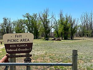 Felt Picnic Area April 2024