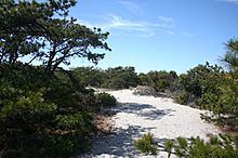 Fire Island Robert Moses State Park 01