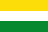 Flag of Manzanares, Caldas
