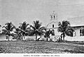 Flores1897d