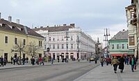 Former Three Roses Hotel, Miskolc city01