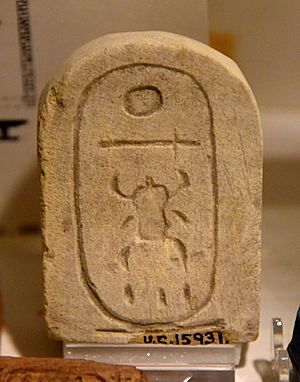 Foundation tablet showing the prenomen cartouche of the throne-name of Amenhotep II. 18th Dynasty. From Temple of Amenhotep II at Kurna, Egypt. The Petrie Museum of Egyptian Archaeology, London