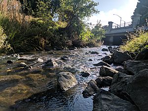 San Mateo Creek (San Francisco Bay Area) Facts for Kids