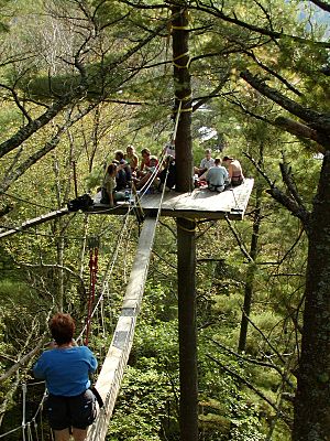 Haliburton Forest Canopy Tour