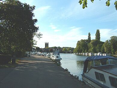 Henley2