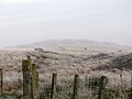 Herd's Hill, West Fannyside - geograph.org.uk - 1618102