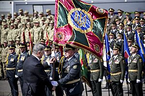 Independence Day military parade in Kyiv 2017 28