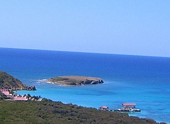 Isla Morrillito vista mirando al sur desde el Faro de Caja de Muerto, Ponce, PR (CIMG3887C).jpg