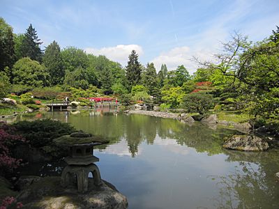 Japanese garden water
