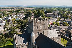 Saint Brigid's Cathedral and Kildare as seen from the round tower