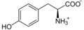 L-Tyrosin phys