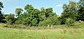 Laigh Borland 1916 walled garden and gatepiers from the south, Dunlop, Ayrshire