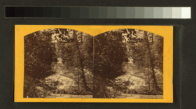 Laughing Whitefish Falls, 25 miles from Marquette, L.S (NYPL NYPG90-F415-G90F415 006F).tiff