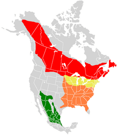Limenitis arthemis range map
