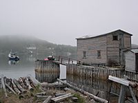 Little Bay Islands Dock