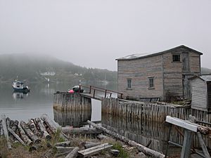A dock in Little Bay Islands
