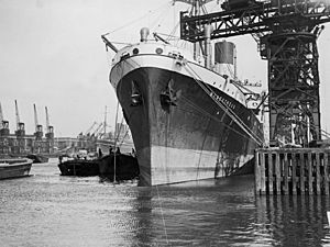 MV 'Menestheus' in King George V Dock.jpg