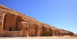Madain Saleh (6731527141)
