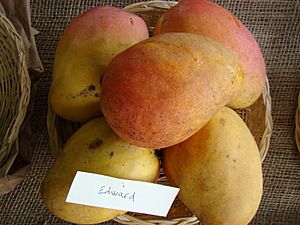 Carabao (mango) - Wikipedia