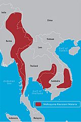 Mefloquine-resistant malaria in Southeast Asia
