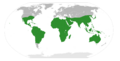 Mimosoideae distribution