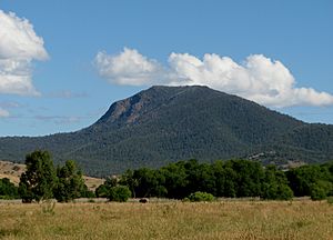 Mount Tambo