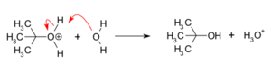 NS1 reaction part3 proton transfer forming alcohol