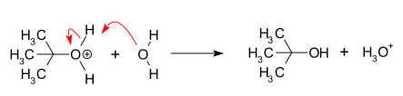 Proton transfer forming the alcohol