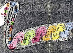 Number Form--colored