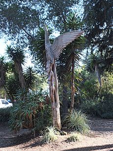 Papua New Guinea Sculpture Garden at Stanford University, eagle sculpture