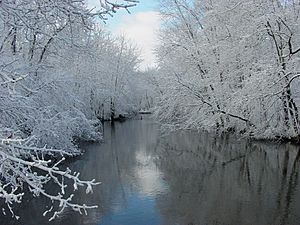Paw Paw River