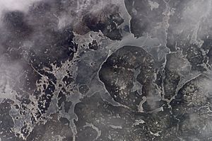 Pipmuacan Reservoir ISS015-E-6926.JPG
