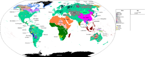 Primary Human Languages Improved Version
