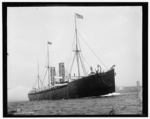 RMS Servia Underway, Detroit Publishing Company