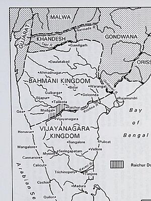 Raichur Doab