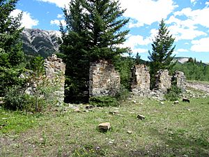 Remains of the Lille Hotel, Alberta
