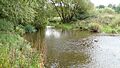 River Roding in Roding Valley Meadows 1