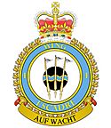Royal canadian air force 4-wing.jpg