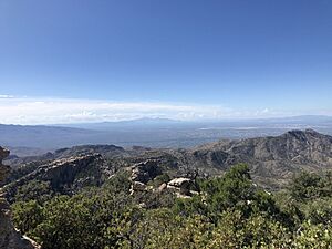 Scenic View from Mount Lemmon