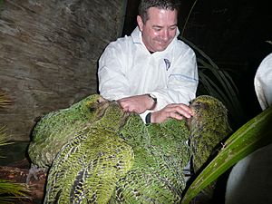 Stephen Bragg with kakapo chicks