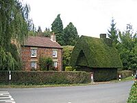 Stonehouse, Bush house, Glasshouse - geograph.org.uk - 60354