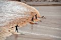 Surfing the Tidal Bore