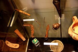 Sutu Museum Tei Culture
