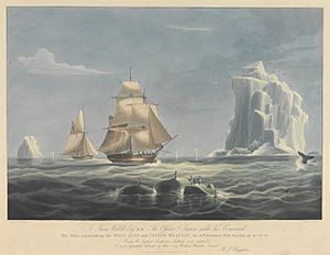 To James Weddell, Esqr R.N - the brig Jane and cutter Beaufoy on 20th February 1823, bearing up in 74o 15' (Being the highest Southern Latitude ever reached) RMG PY8482