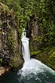Toketee Falls (5836521270)