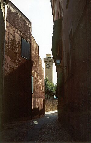 Torre Mangana