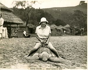 Turtle riding, Great Barrier Reef (7687773596)